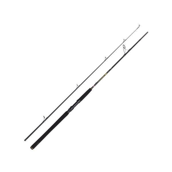 Caña 3,00 PENN Wrath II 20-80g
