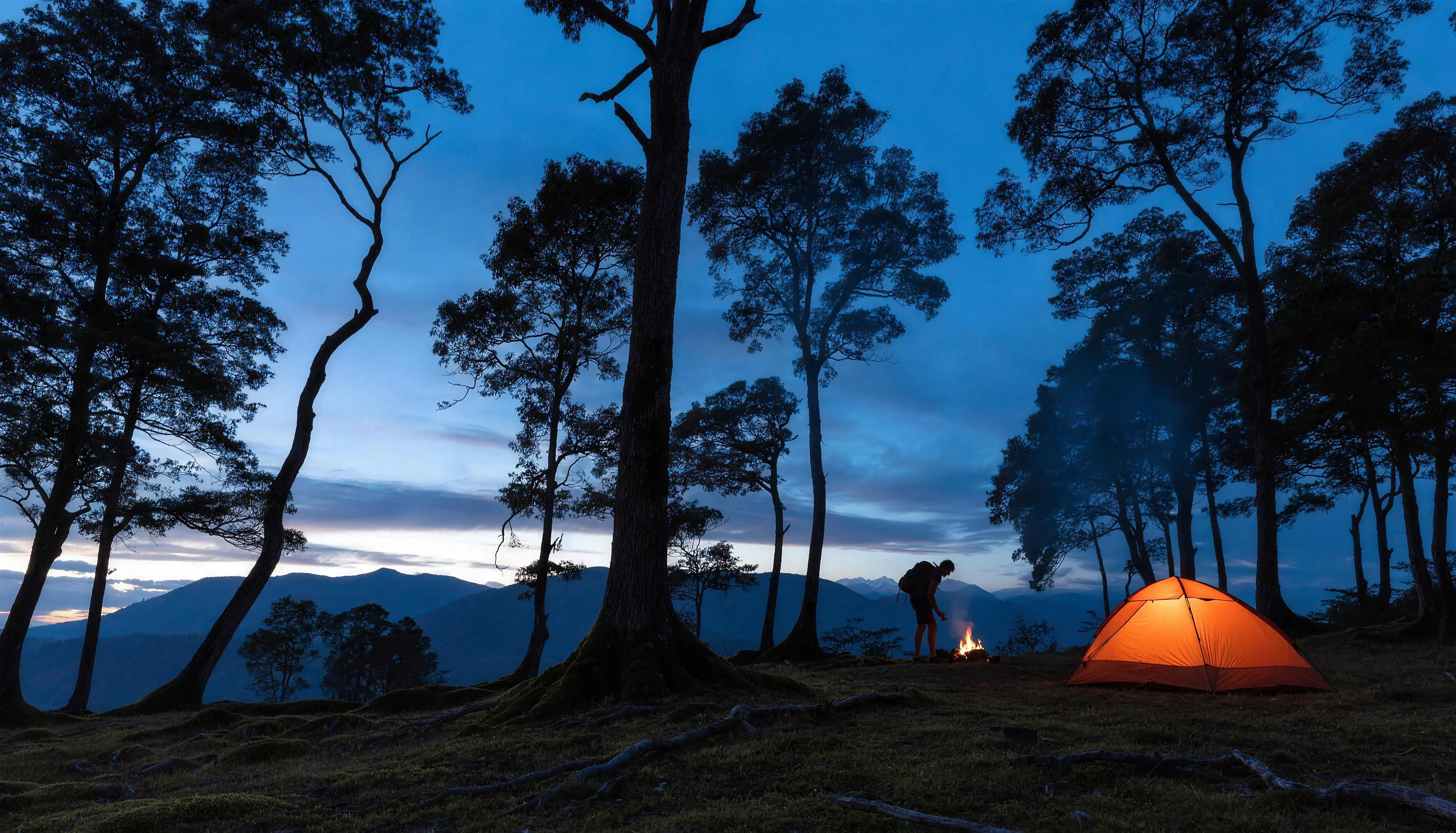 Outdoor — Universal Sports